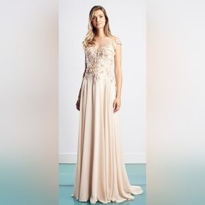 Alexander By Daymor NWT Blush Chiffon 3D Lace Maxi Gown Dress Size 6 #1452